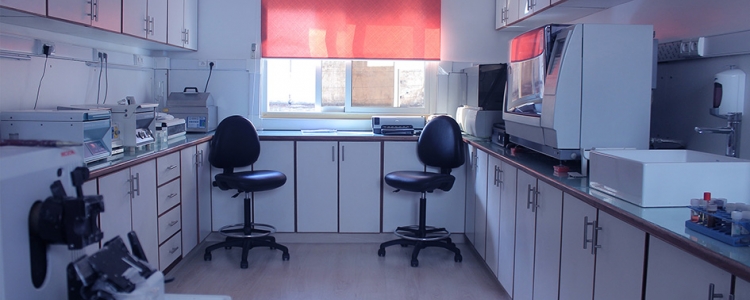 Uffici e laboratori in affitto